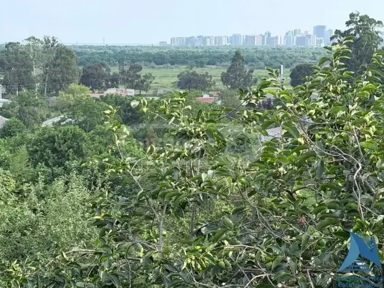 Участок 1000 м², Район Акхалсопели в Батуми — фото 9