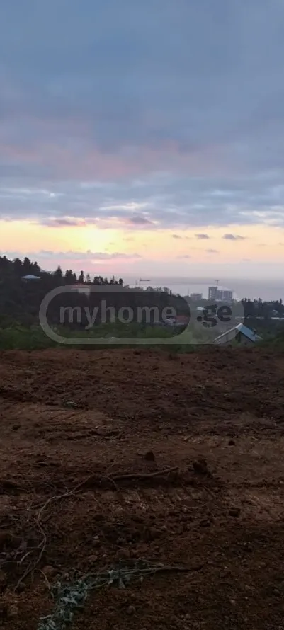 Участок 5454 м² в Батуми — фото 6
