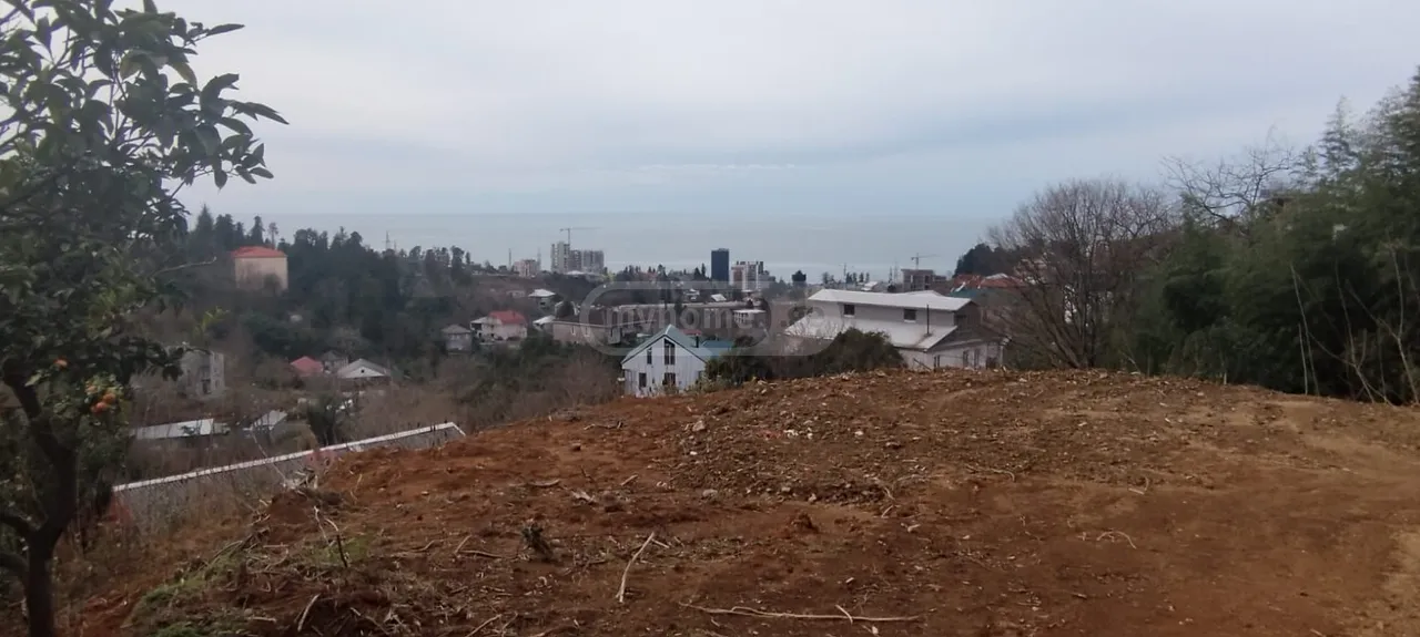 Участок 5454 м² в Батуми — фото 7