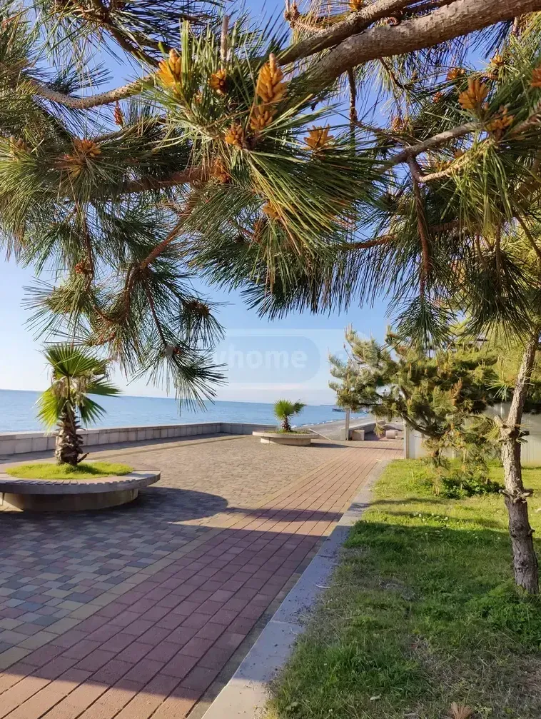 Участок 1440 м² в Батуми — фото 2