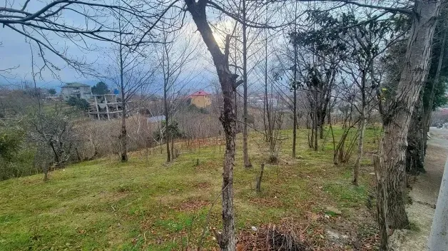 Участок 2400 м² в Батуми — фото 2