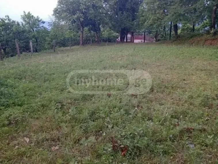 Участок 2345 м², Район Ткхилнари в Батуми — фото 10